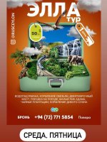 Изображение WhatsApp 2025-04-22 в 17.32.20_c467b0d9.jpg